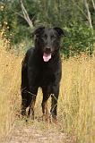 BEAUCERON 055